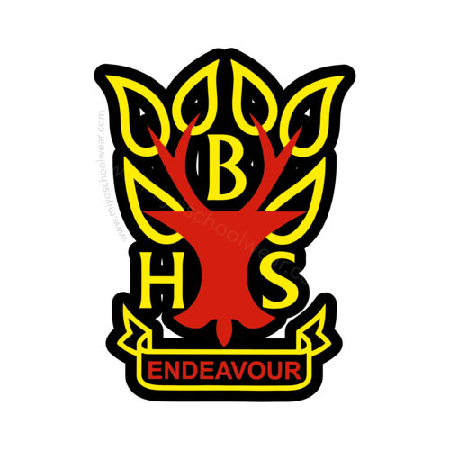 Braidhurst High School Thumbnail