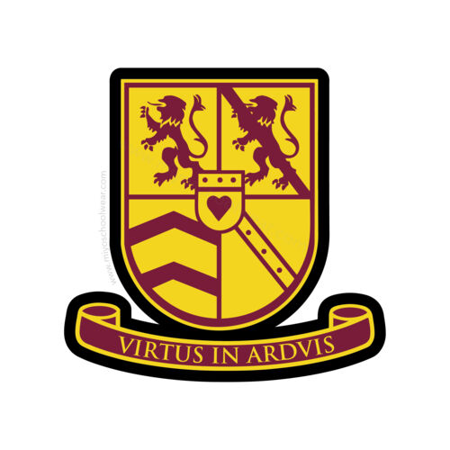 Bellshill Academy Thumbnail