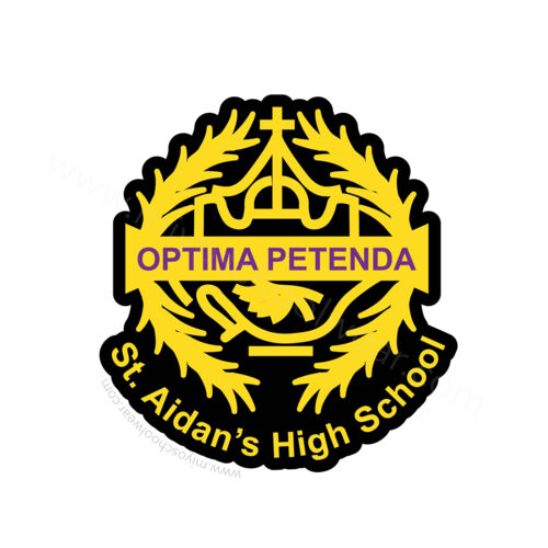 St Aidan's High School Thumbnail