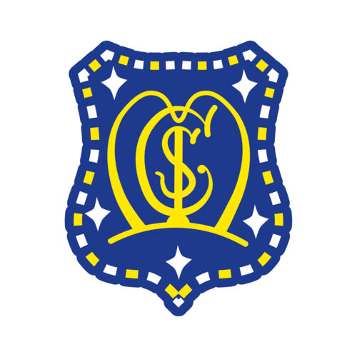 St Mary's Primary (Cleland) Thumbnail