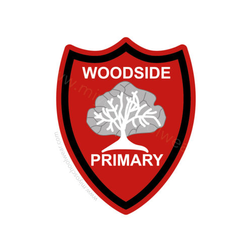 Woodside Primary (Hamilton) Thumbnail