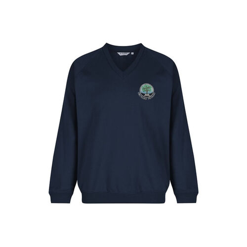Orchard Primary V Neck Sweatshirt Thumbnail