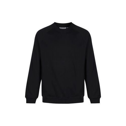 Blank Crewneck Sweatshirt Thumbnail
