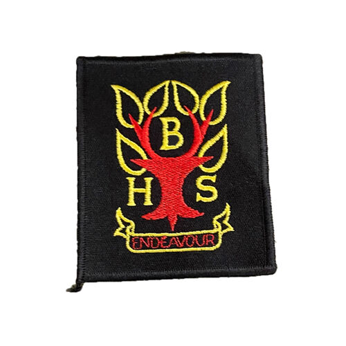 Braidhurst Patch Thumbnail