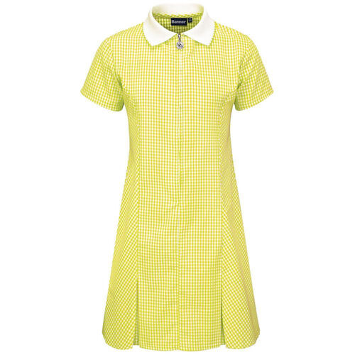 Zip-Front Gingham Summer Dress Thumbnail