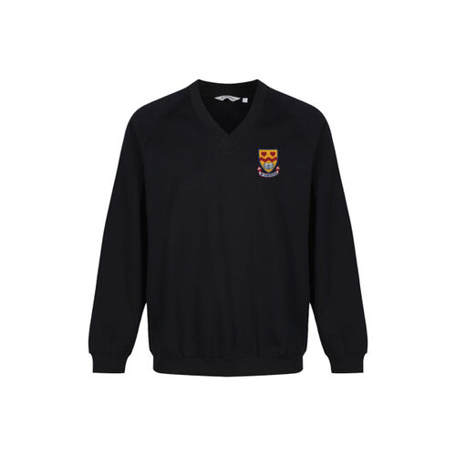 Cardinal Newman V-Neck Sweatshirt Thumbnail