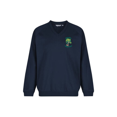 Carmondean Primary V-Neck Sweatshirt Thumbnail