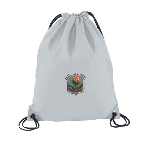 St Teresas Primary Gymsac Thumbnail