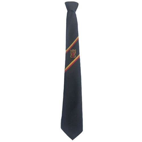 Braidhurst High Senior Tie Thumbnail