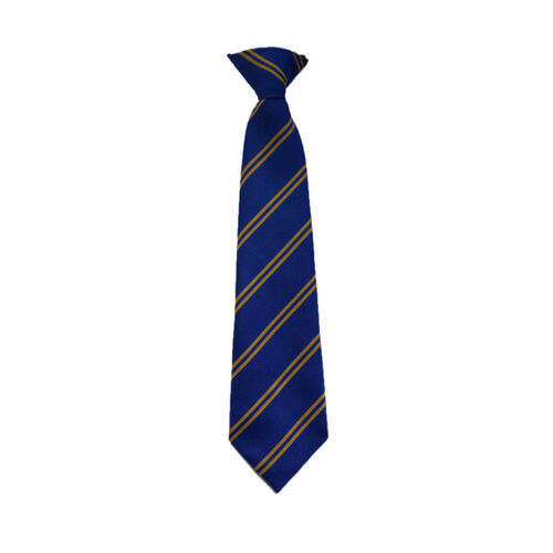 Bothwell Primary Senior Tie Thumbnail