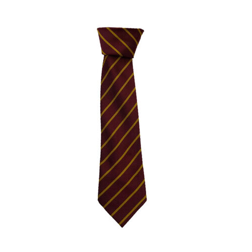 Cambusnethan Primary Tie  Thumbnail