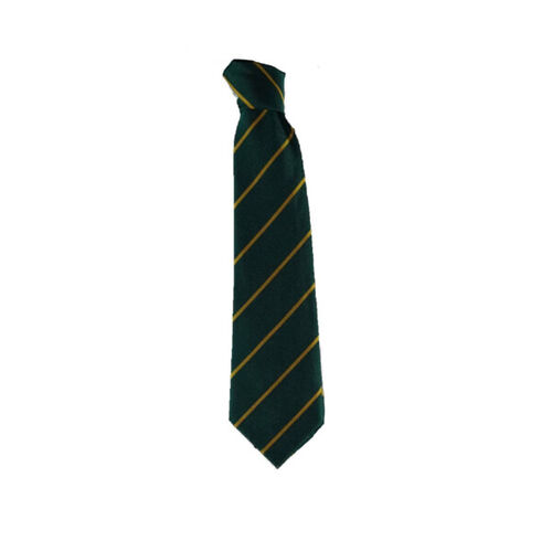 Cathedral Primary Tie  Thumbnail