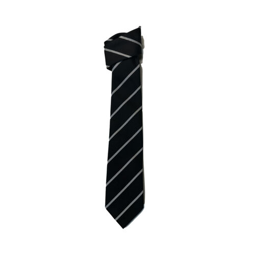 St Ignatius Primary Tie Thumbnail