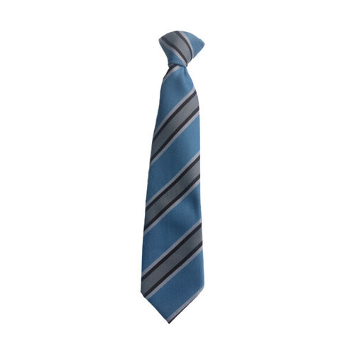 St Elizabeths Primary Tie Thumbnail