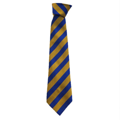 Bothwell Primary Junior Clip-On Tie Thumbnail