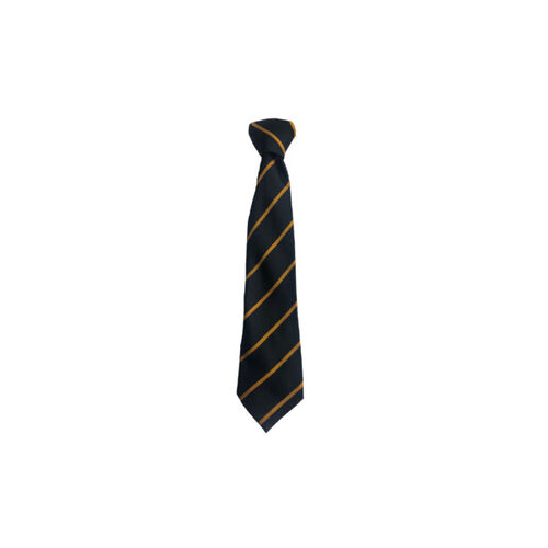 Ladywell Primary Clip-On Tie Thumbnail