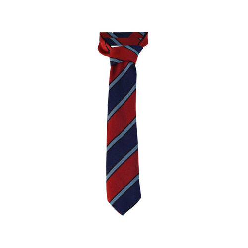 Tannochside Primary Clip-On Tie Thumbnail
