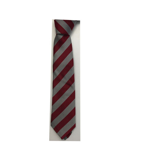 Wishaw Academy Clip-On Tie Thumbnail