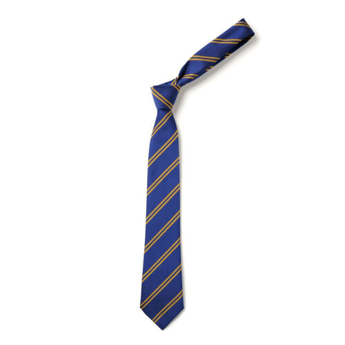 Carluke Primary Clip-On Tie Thumbnail