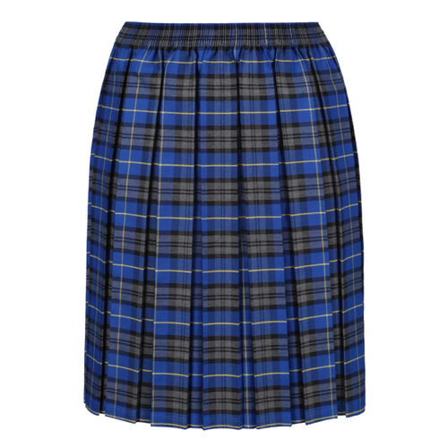 Carluke Primary Tartan Box Pleat Skirt Thumbnail