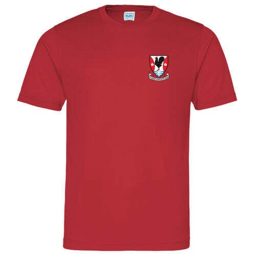 Caldervale Gym T-Shirt - Scobbie House S1-3 Thumbnail
